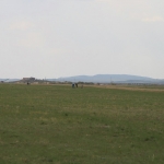 IMG_4623.jpg