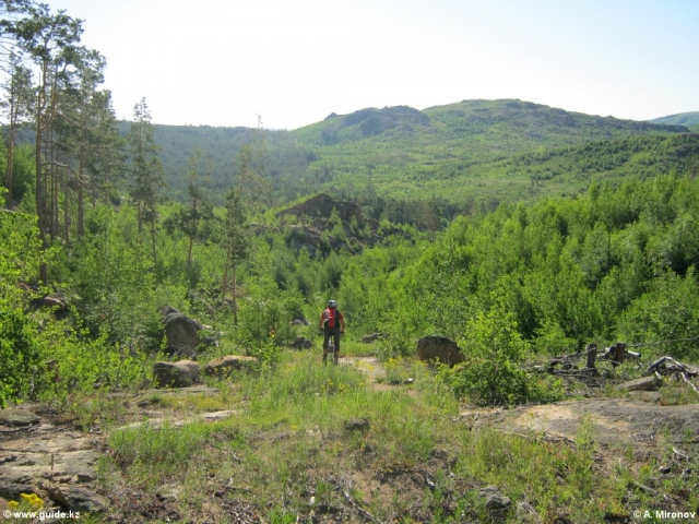 IMG_0268.jpg